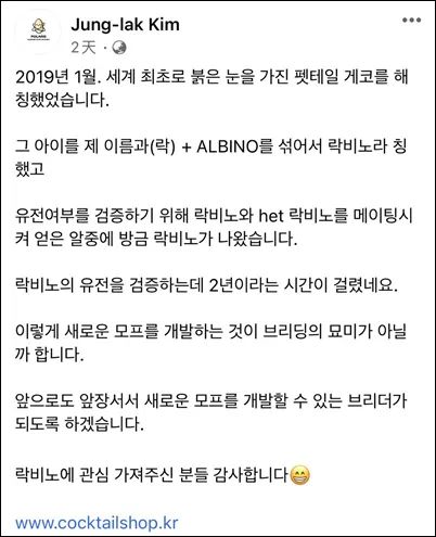 全球首例肥尾守宫红眼白化,历经两年终于基因验证成功!(图2) 全球首例肥尾守宫红眼白化,历经两年终于基因验证成功!(图2)
