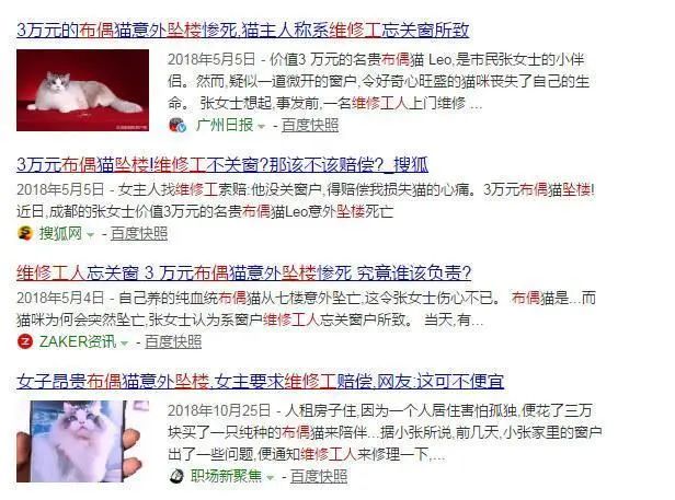 5万块买的布偶没几天就跳楼！养猫必须做好这4件事(图2)